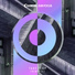 Wilkinson & Sub Focus