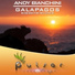 Andy Bianchini