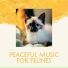 Feline Cafè