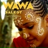 Wawa Salegy