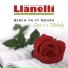Cor Meibion Llanelli Male Voice Choir