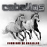 Caballos Del Norte