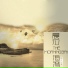 彩贝与海
