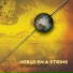 World On a String, Bjarke Falgren, John Sund