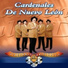 Cardenales De Nuevo León