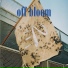 Off Bloom