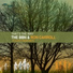 The BBn, Ron Carroll