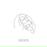 Northwind Collective