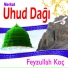 Feyzullah Koç