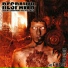 RESPAWN