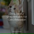 Music For Cats TA, Cats Music Zone, Cat Music