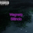 Wagnerp