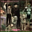 The Bonzo Dog Band