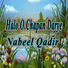Nabeel Qadir