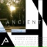 anndrri