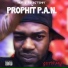 PROPHIT P.A.N., Bbop & Rocksteady