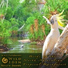 Wild Eden Nature Sounds feat. Dr Eric Fassbender