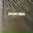 Sperry Alan