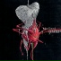 The Used