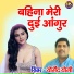 Yogendra Yogi