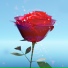 VAL