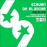 Steven De Blanche