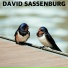 David Sassenburg
