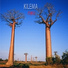 Kilema