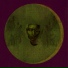assi