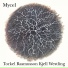 Torkel Rasmusson, Kjell Westling
