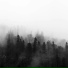 Musica Relajante, Relaxed Minds, Ambient Rain