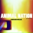 Animal Nation