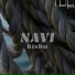 Navi
