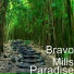 Bravo Mills feat. Nizzy Nice