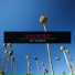 Diamandy