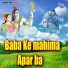 Sarvan