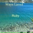 Wayn Larsol