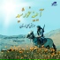 Alireza Naderi