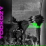 Tookozy