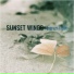 Sunset Wings