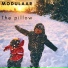 Modulaar