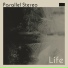 Parallel Stereo