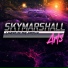 SkyMarshall Arts