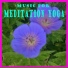 Meditation spa music