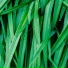 Nature Noise, The Rain Library, Alpha Waves