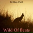 Wild Of Beats