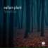 Callum Plant