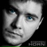 Steffen Horn