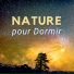Bruit Blanc Maestro