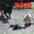 Tad